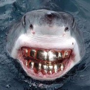 【年plus】饺子是只夹子猫