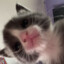 ๋