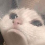 Nico - steam id 76561198996475055