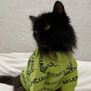 meow - steam id 76561199365528382