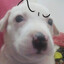cHatto