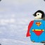 Super Penguin