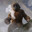 monkey with the jart