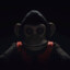 Macaco