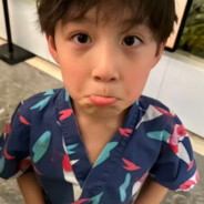 碎枝霜lllllllllllllllllllll