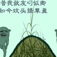 在你坟头蹦极---1.04