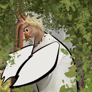 电脑玩家法克尔