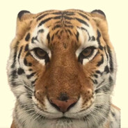 泰戈尔1号-大狗嚼俱乐部