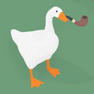 goose2378