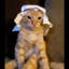 masked arab 2.0
