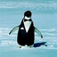 Penguine