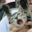 Sam:zaki