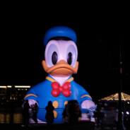 全世界最美的斯斯