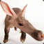 An Average Aardvark