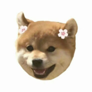 玉米地里吃过亏.