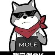 骑着乌龟去追火箭