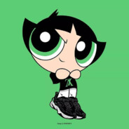 会打枪的猫头鹰