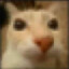Mau