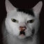 adolf kitler