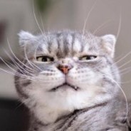 姐父找小姨子天经地义