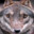 WoperWolf