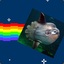 Nyan_Molafish