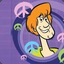 Shaggy