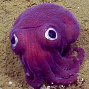 Gunnr - steam id 76561198353465203