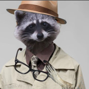 3 Raccoons in a Trench Coat - steam id 76561197963180117