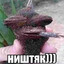 Ba3eЛuHoBый ШupшaBчuк's avatar
