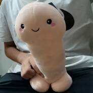 重生之我是绝情俏寡妇