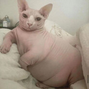 всё дизайнер