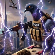 котах сегин бля к