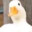 DuckGO!!