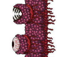 血肉之墙已经苏醒