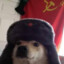 Russian Dog