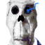 Skeleton