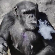chimpanzee smoking a cigarette avatar