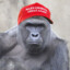 HarambeTheSavage