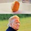 Trump&#039;s Comb-over