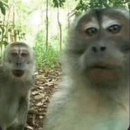 iTmszwsk ☆ ᴛʀᴀᴅɪɴɢ