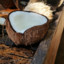 coconut water