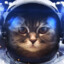 Spacecat