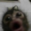 NoOneWillLeaveMyOctagon
