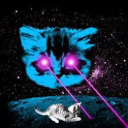 Roosevelt Cat avatar
