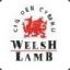 Welsh_Lamb