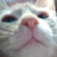 Lispsy