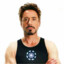 destroystark