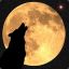 Lone Wolf