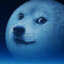 Dogmoon